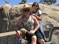 San Diego Zoo