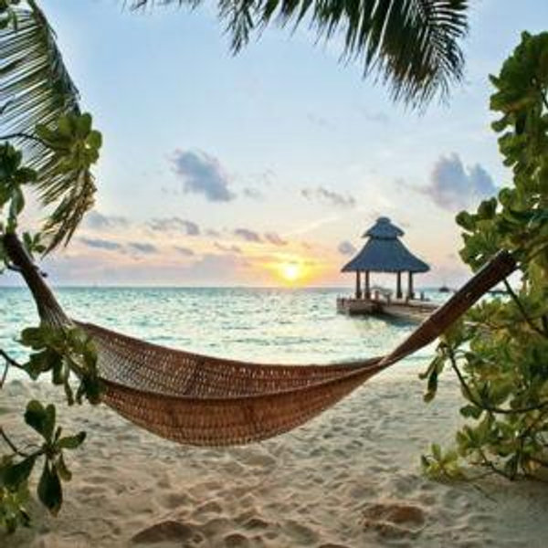 Honeymoon Fund