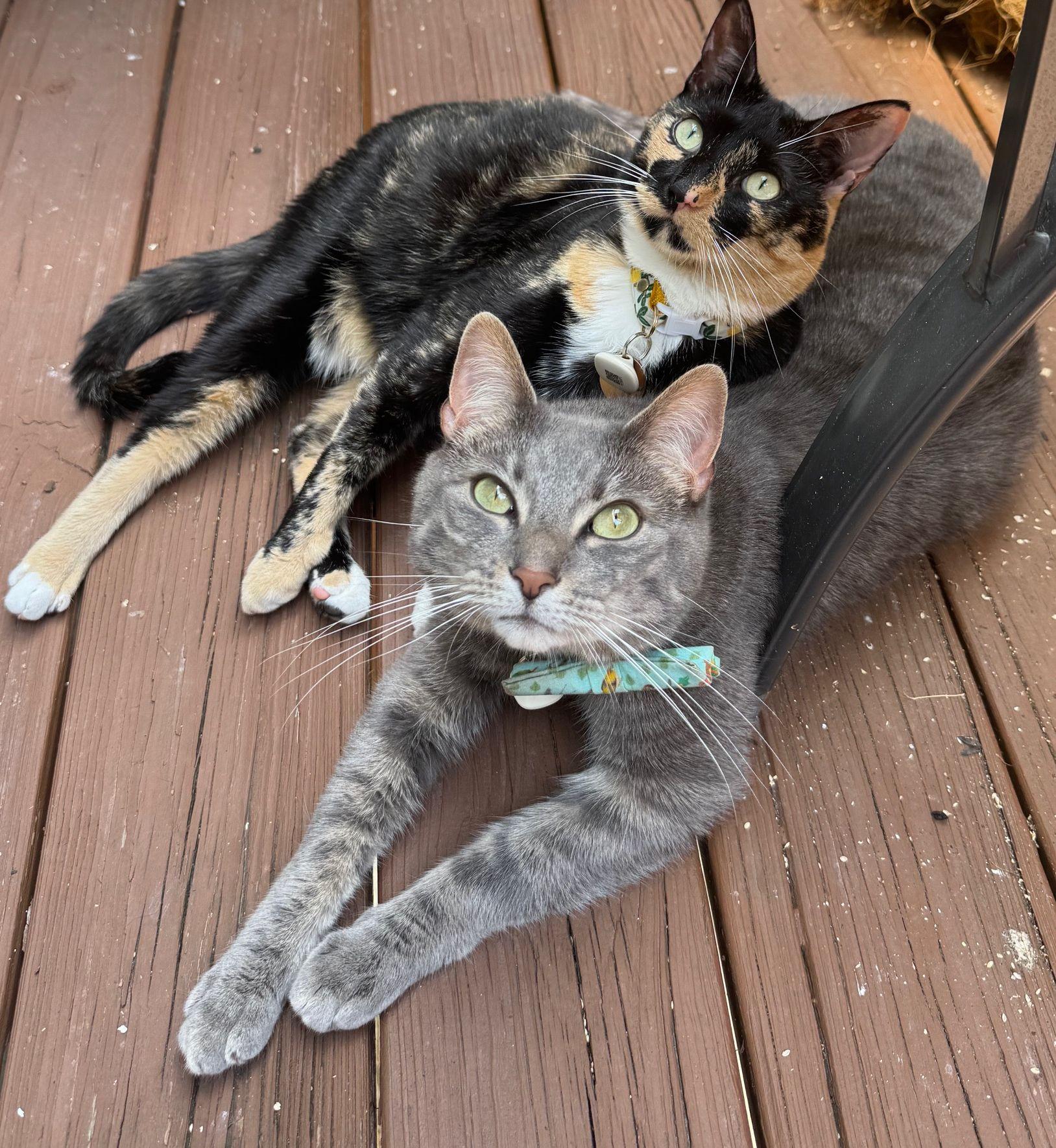 The Wedding Website of Kelsey Thistlethwaite and Clay Pencek