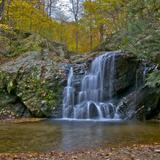 Patapsco State Park