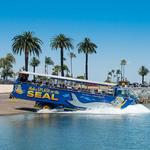 San Diego Seal Tour