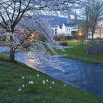 Lichtentaler Allee