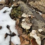 Highbanks Metro Park