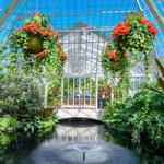 Phipps Conservatory and Botanical Gardens