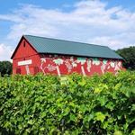Rosedale Farms & Vineyards