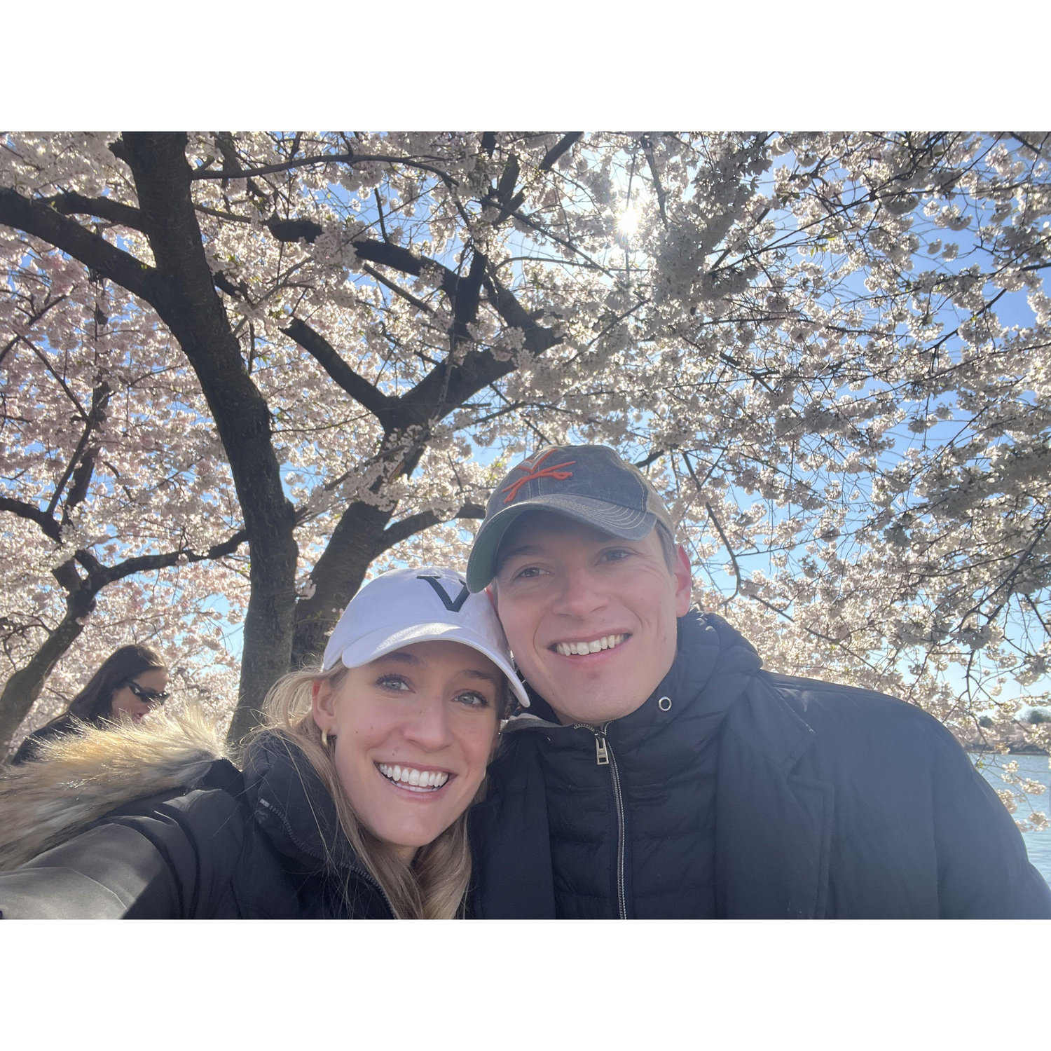Exploring the cherry blossoms in Washington, DC