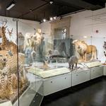 Buffalo Museum of Science