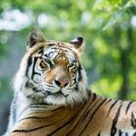 Dakota Zoo