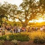 Cass Winery