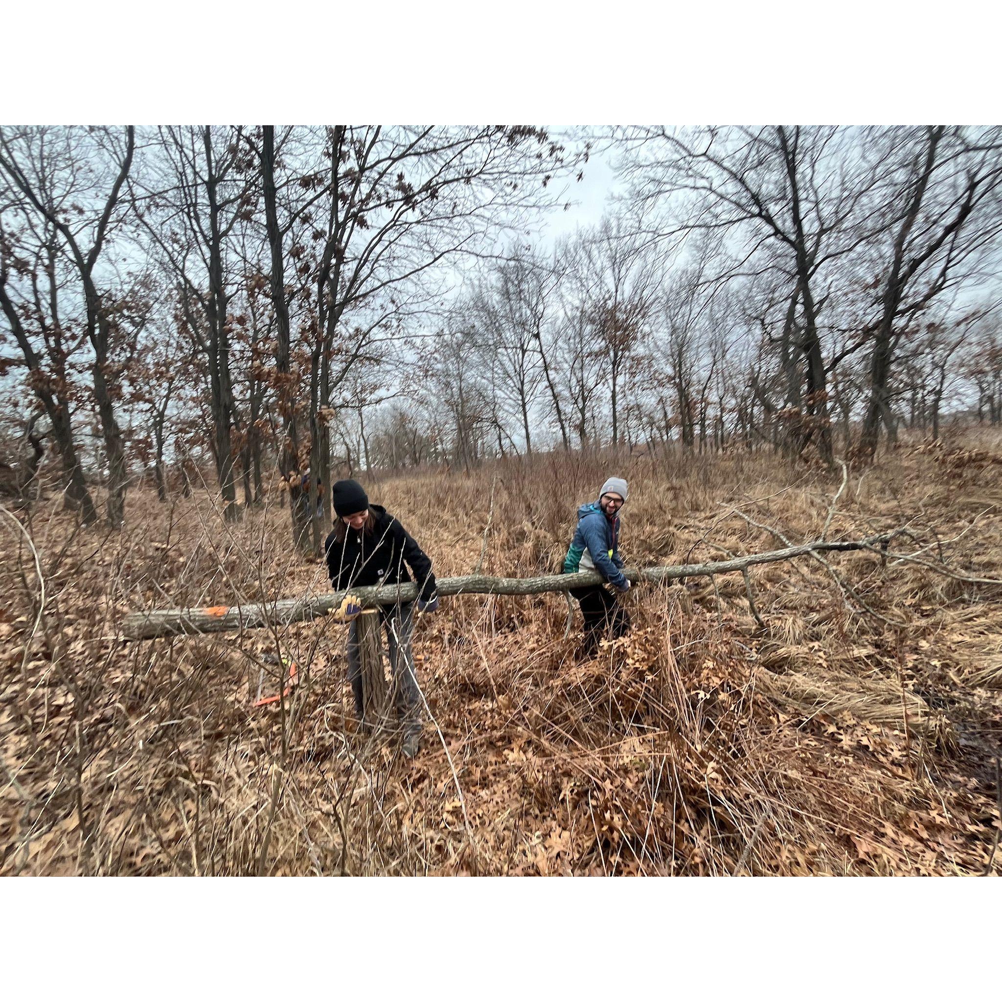 We love going to the prairie (semi) consistently on Saturday mornings to do restoration work. We just cut down an invasive tree and are about to burn it.