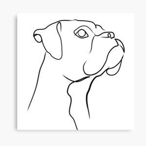 Donate to Adopt a Boxer