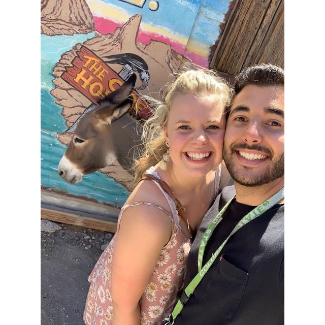 In Oatman, Arizona with all the wild donkeys!