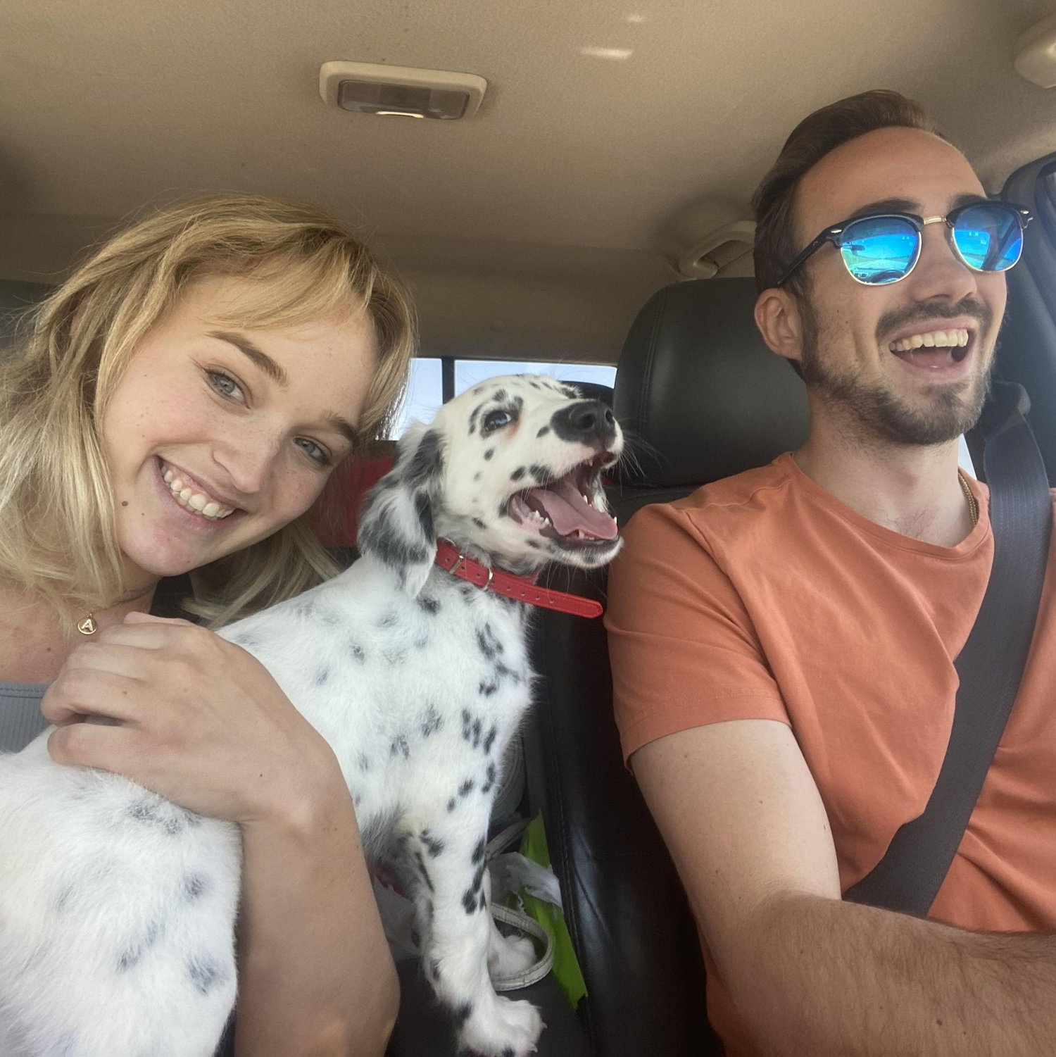 Became dog parents! July 1st 2023
