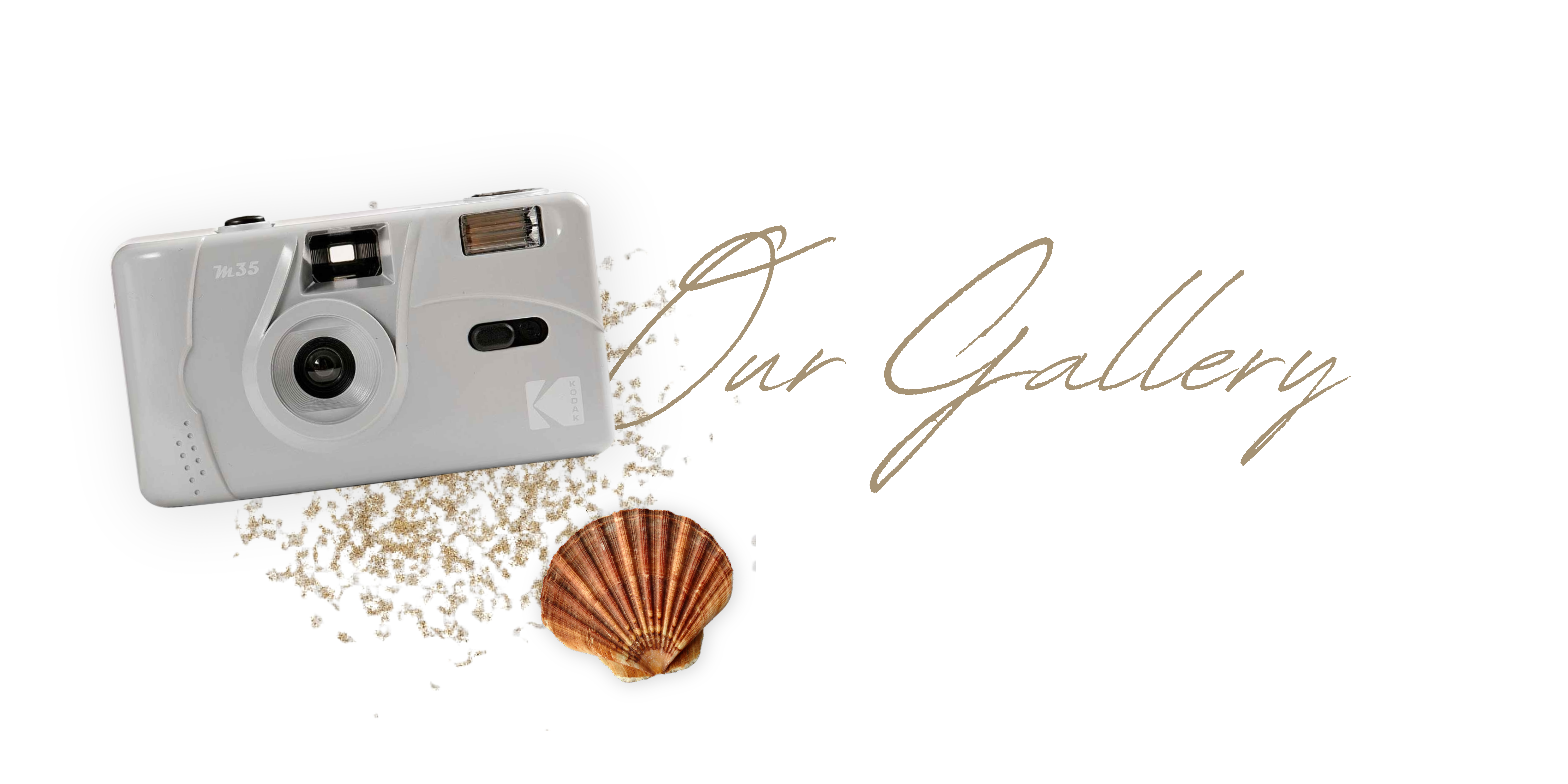 The Wedding Website of Ciara Neely and Connor Thompson