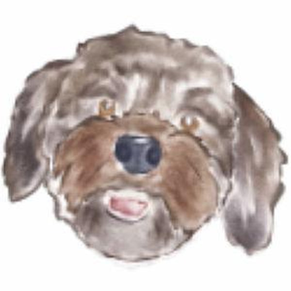 Year's Supply Of Pet Treats