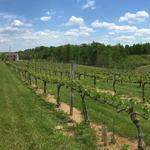 Stanburn Winery, LLC