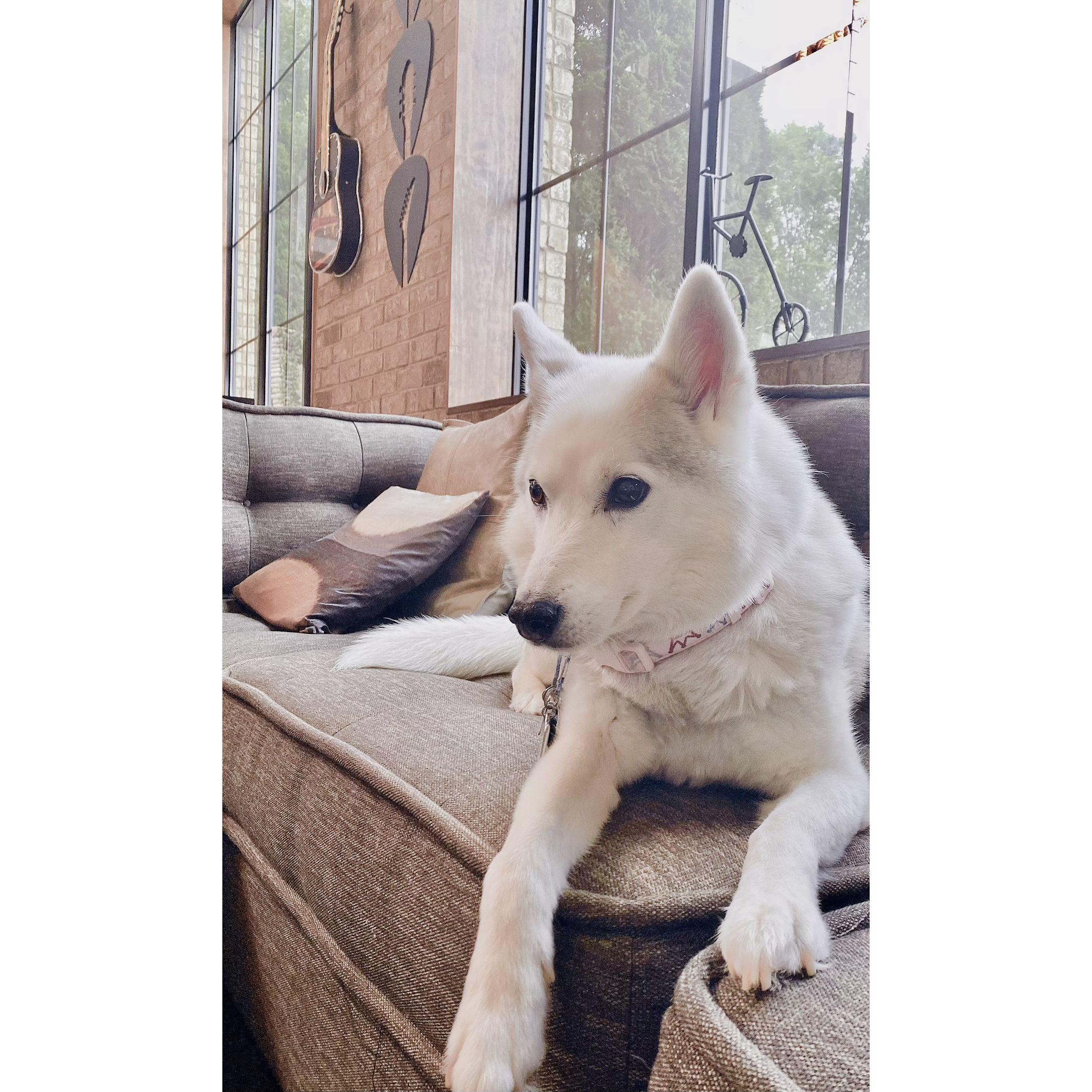 The beautiful and only, Ms. Foxy Jones.