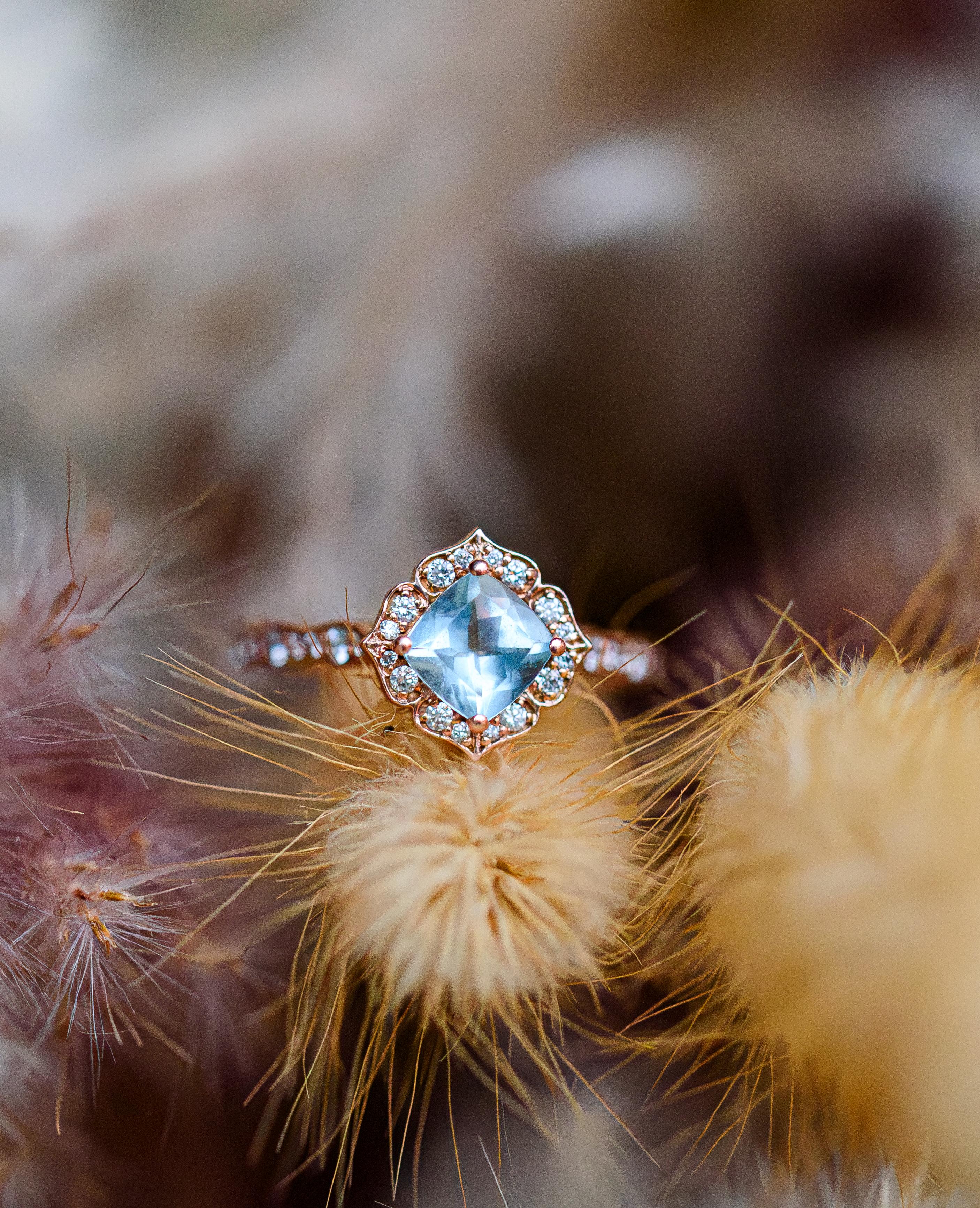The Wedding Website of Lauren Nicholson and Michael Vance