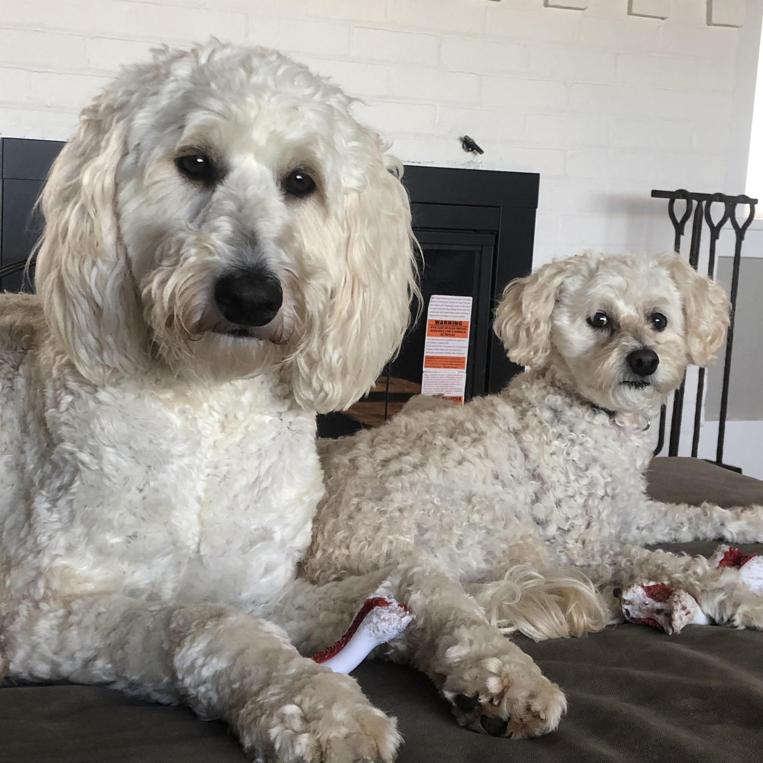Belle and Chloe besties