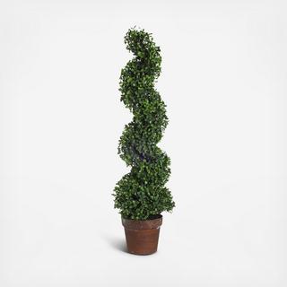 Potted Spiral Faux Boxwood