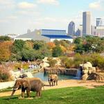 Indianapolis Zoo