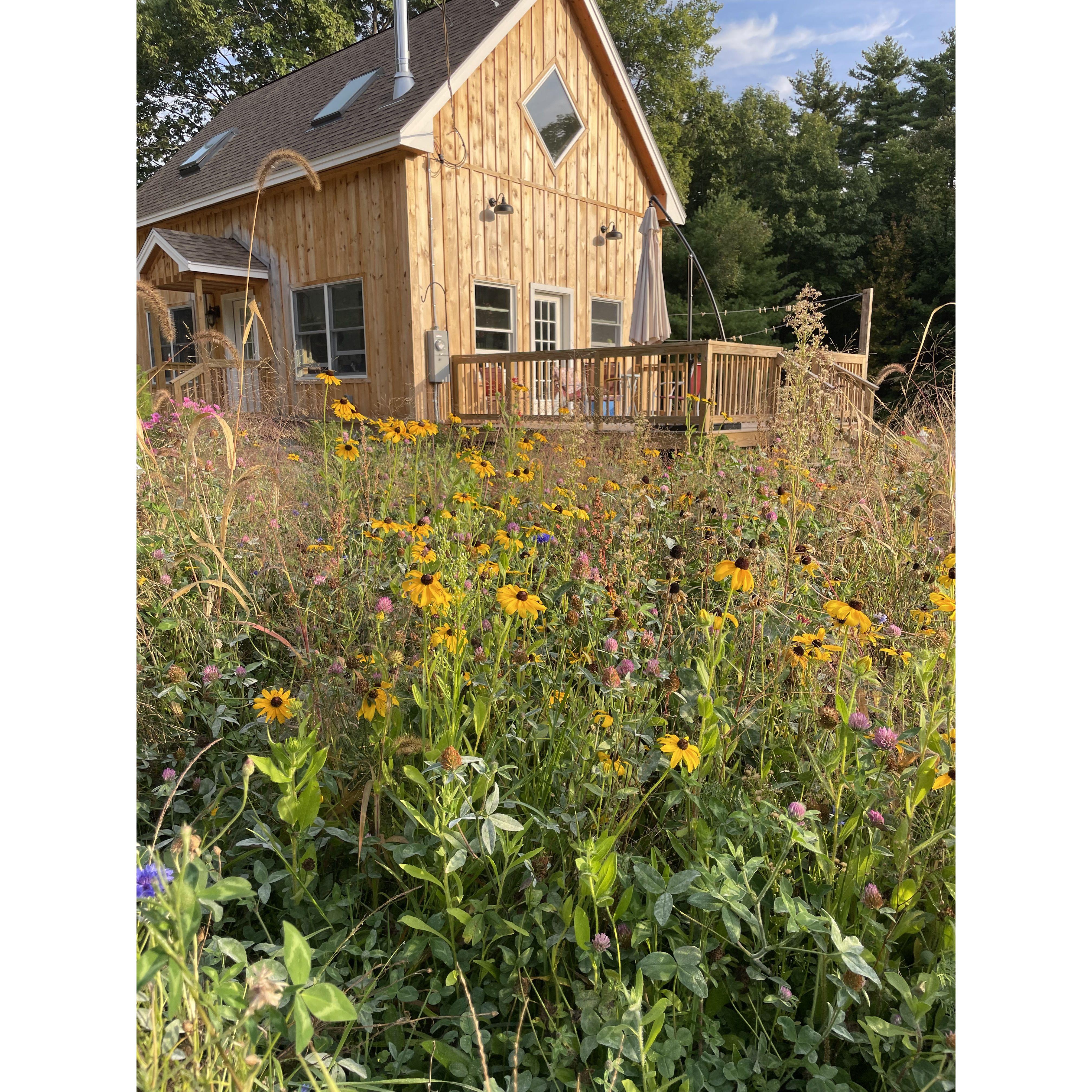 Our first summer in the house, completed July 2024, wildflower field year#1