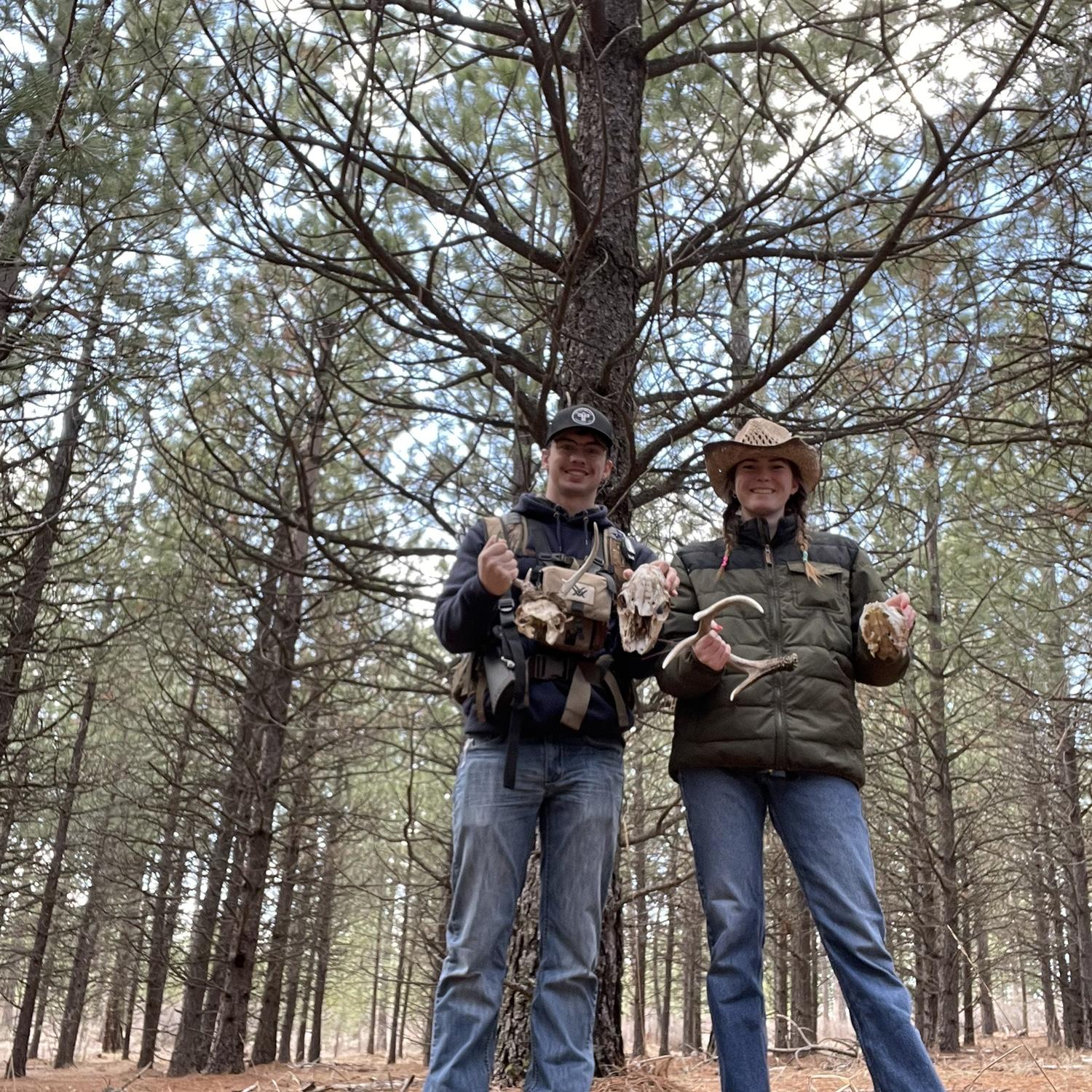 Shed hunting 2022