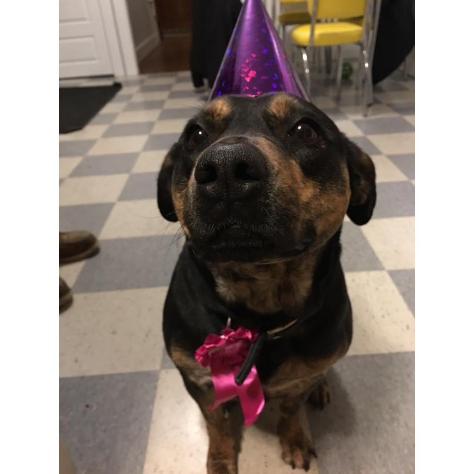 Here's our Tessie girl! She's got us wrapped around her little paw.