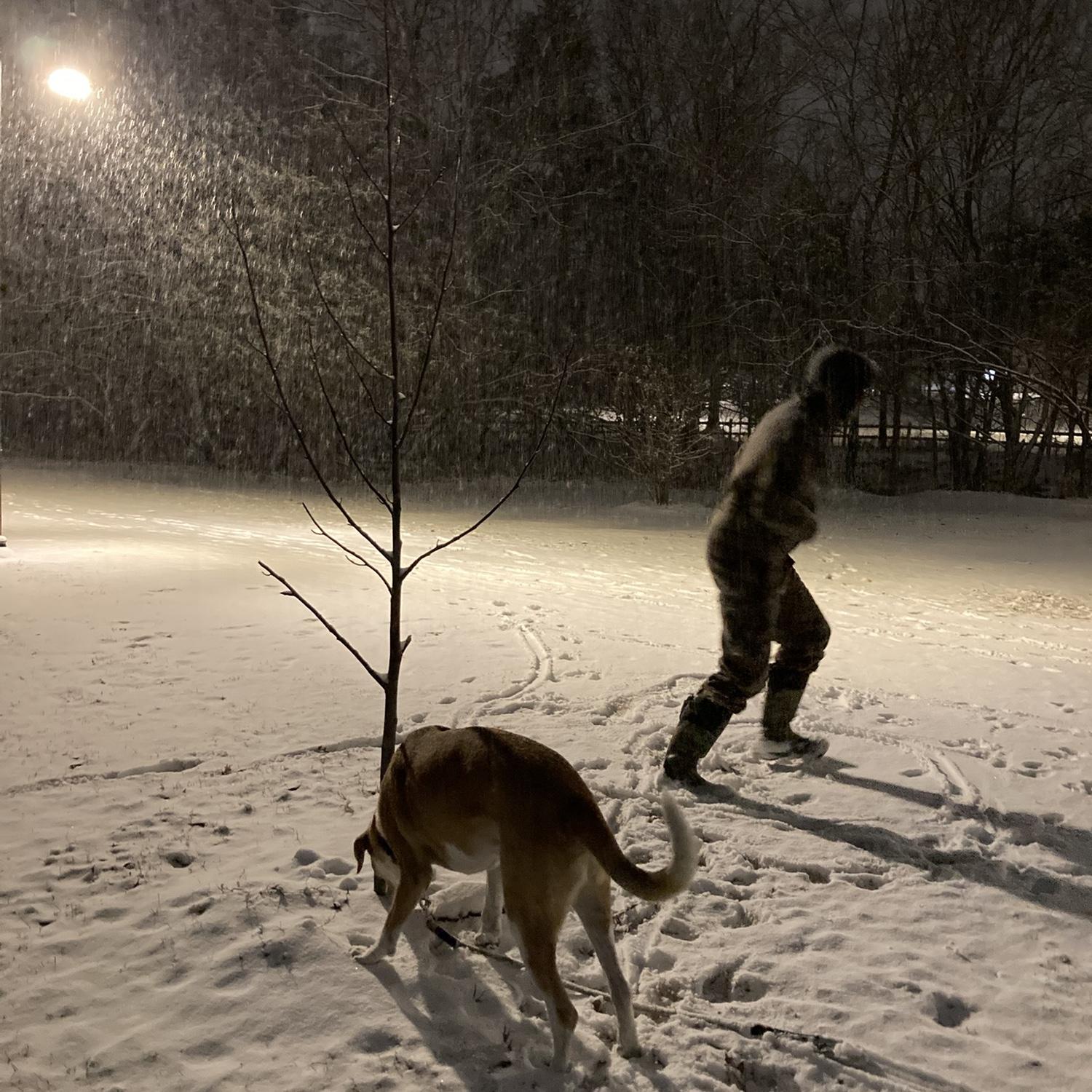 "Nathan's first Arkansas snow"