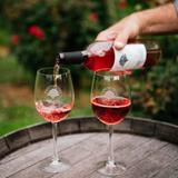Twelve Oaks Vineyard