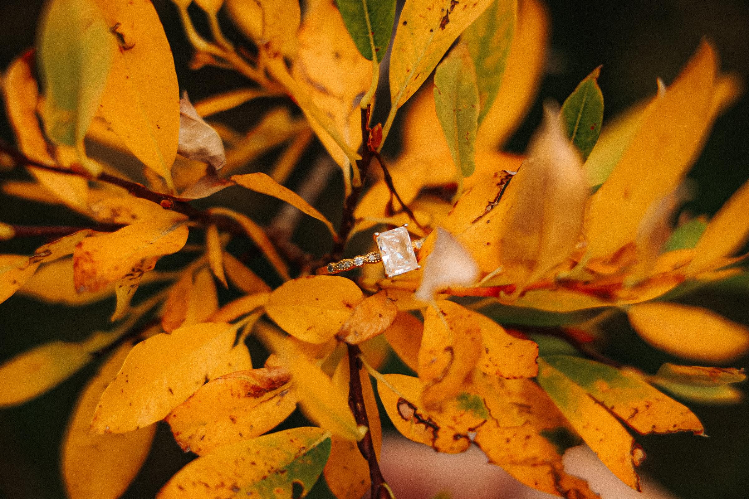The Wedding Website of Lauren Gonzalez and Jason Burch
