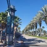 Daytona Beach