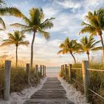 Hit the Beach