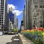Magnificent Mile