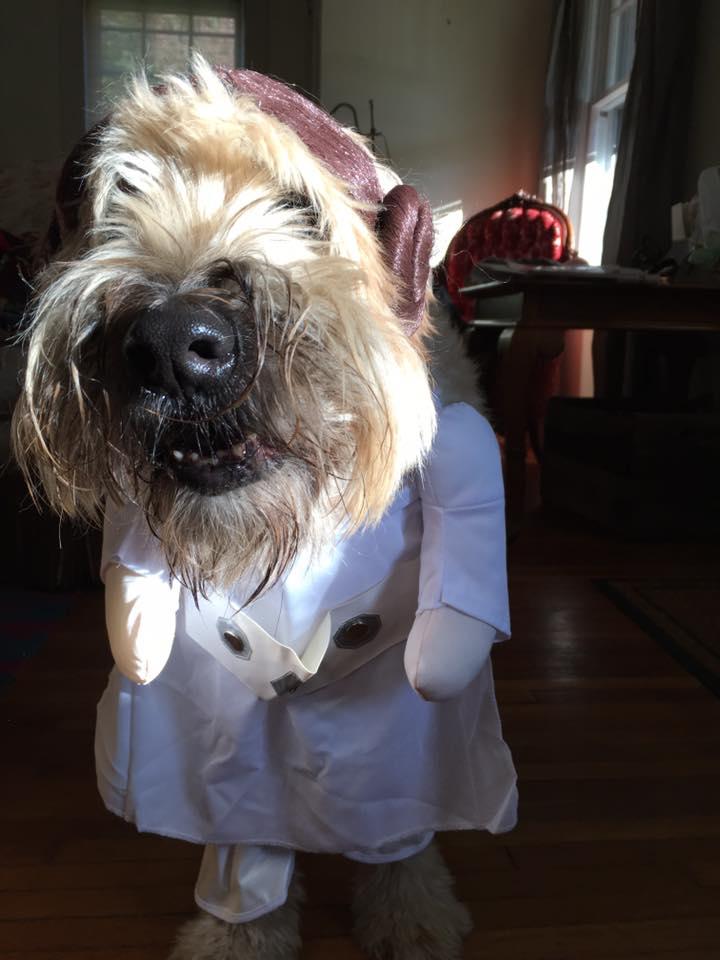 Amish, looking snazzy as Princess Leia.