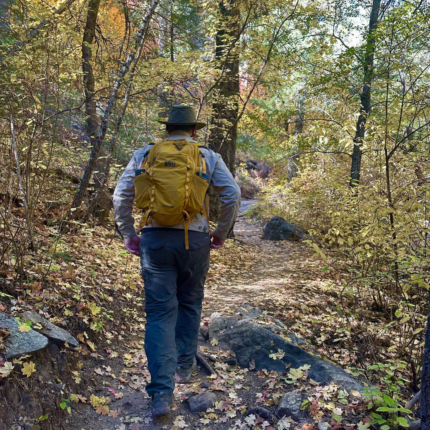 Hiking in Tucson - Mount Lemmon