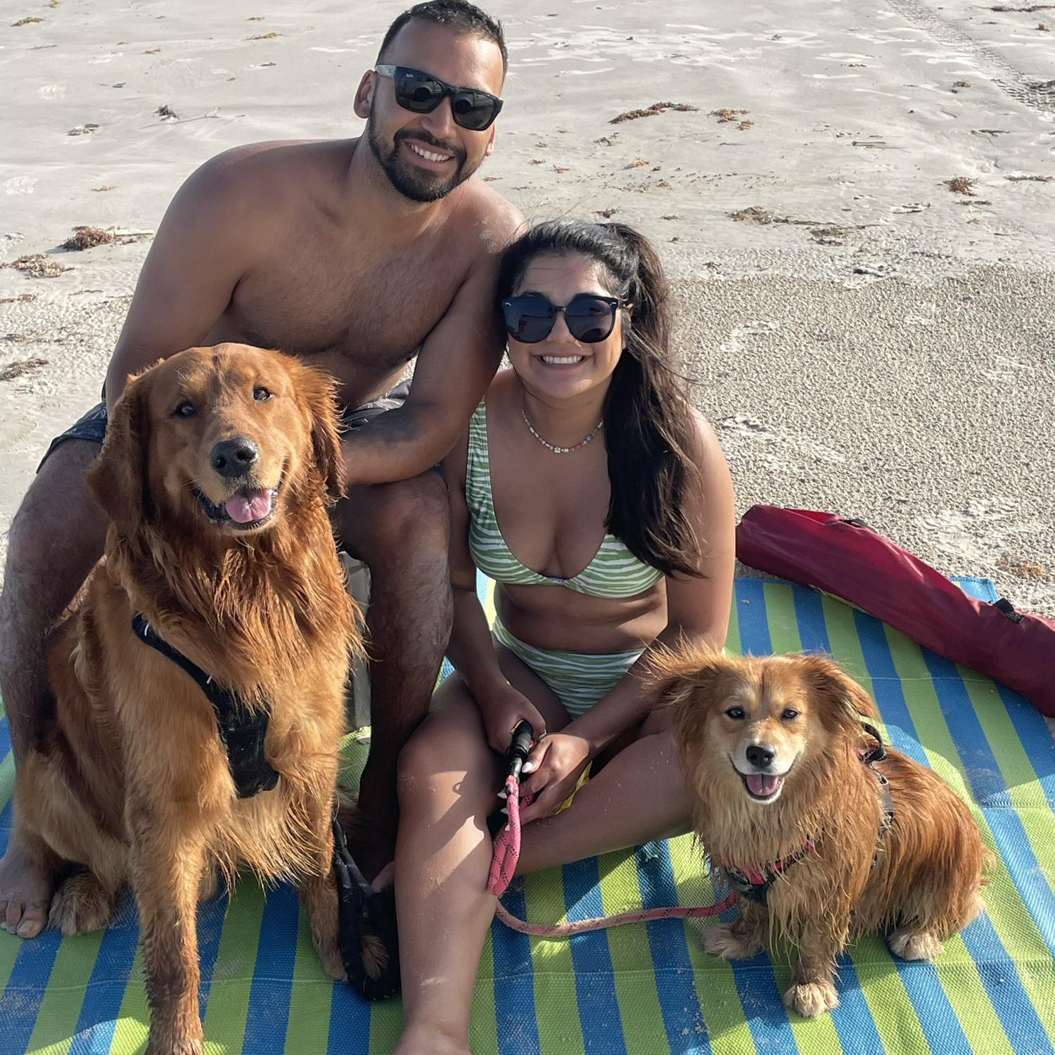 Back in Port A with our spoiled pups
