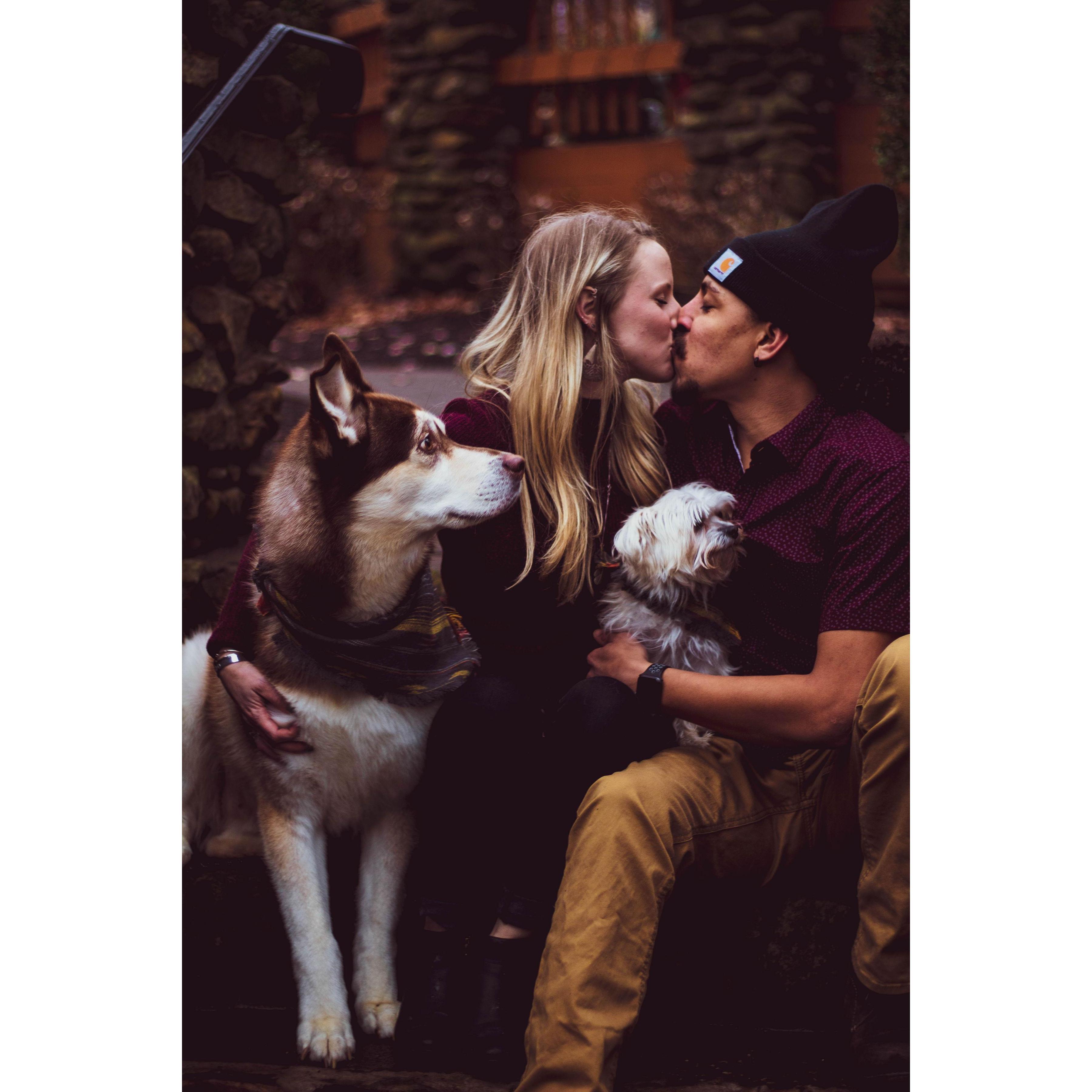 Post engagement family photo 2019