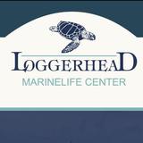Loggerhead Marinelife Center