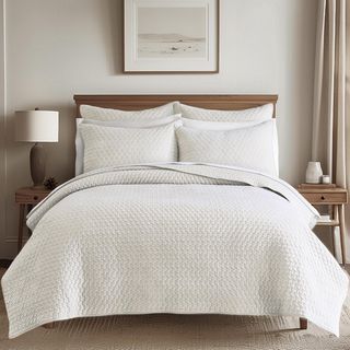 Velvet Stitch 3-Piece Quilt Set