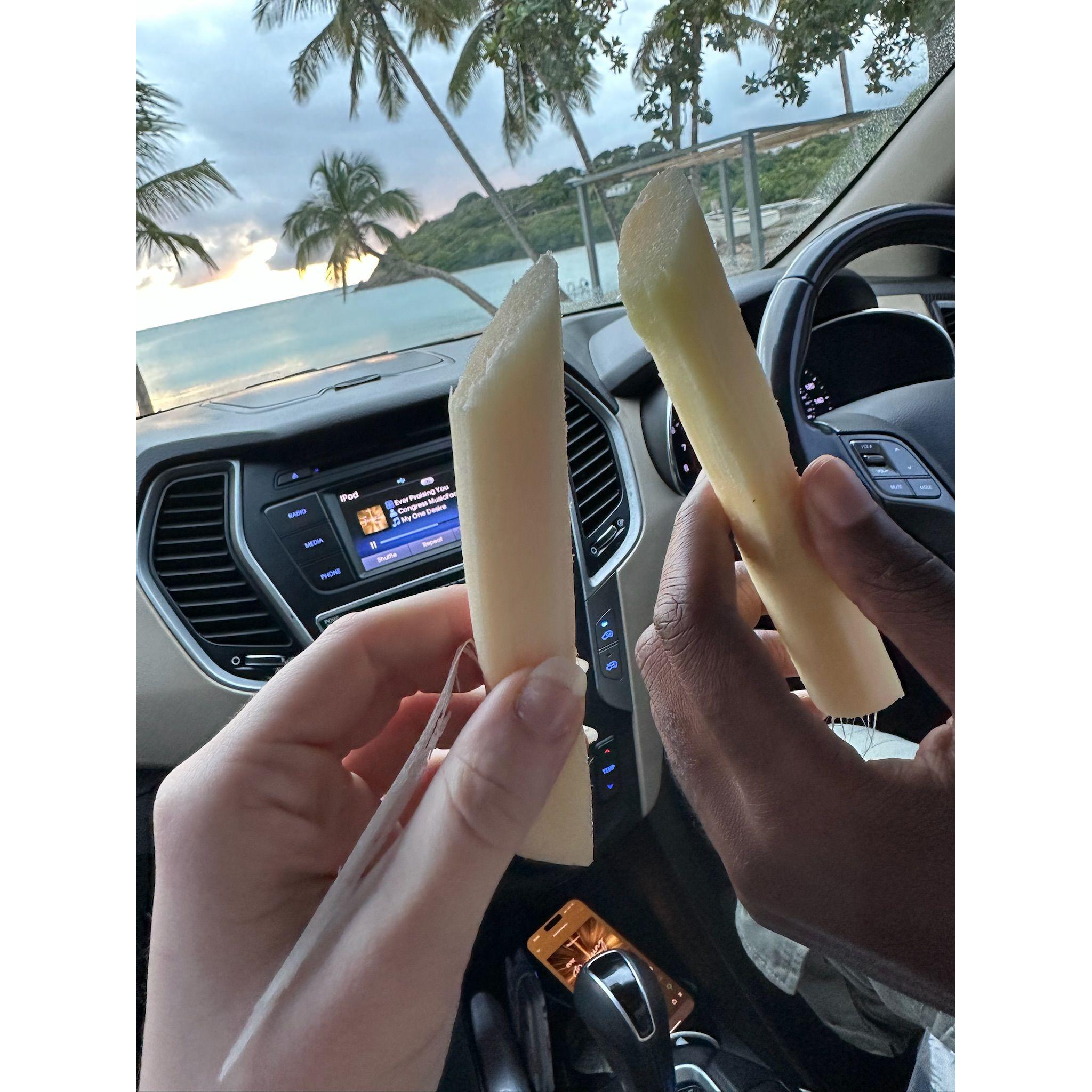 Sugar cane for the first time