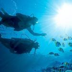 PADI® Certified Scuba Diving