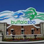 The Buffalo Zoo