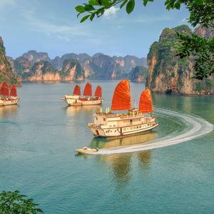 Honeymoon: Boat Tour in Vietnam