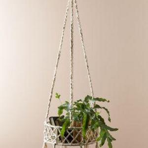 Soria Hanging Basket