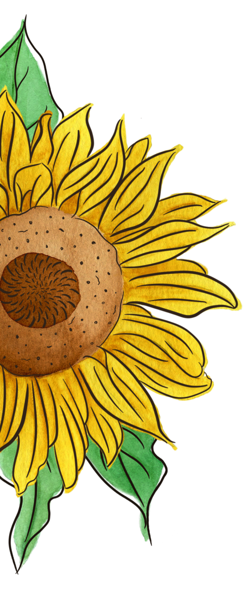 Sarajane Maywald and Dakota Langston's Wedding site