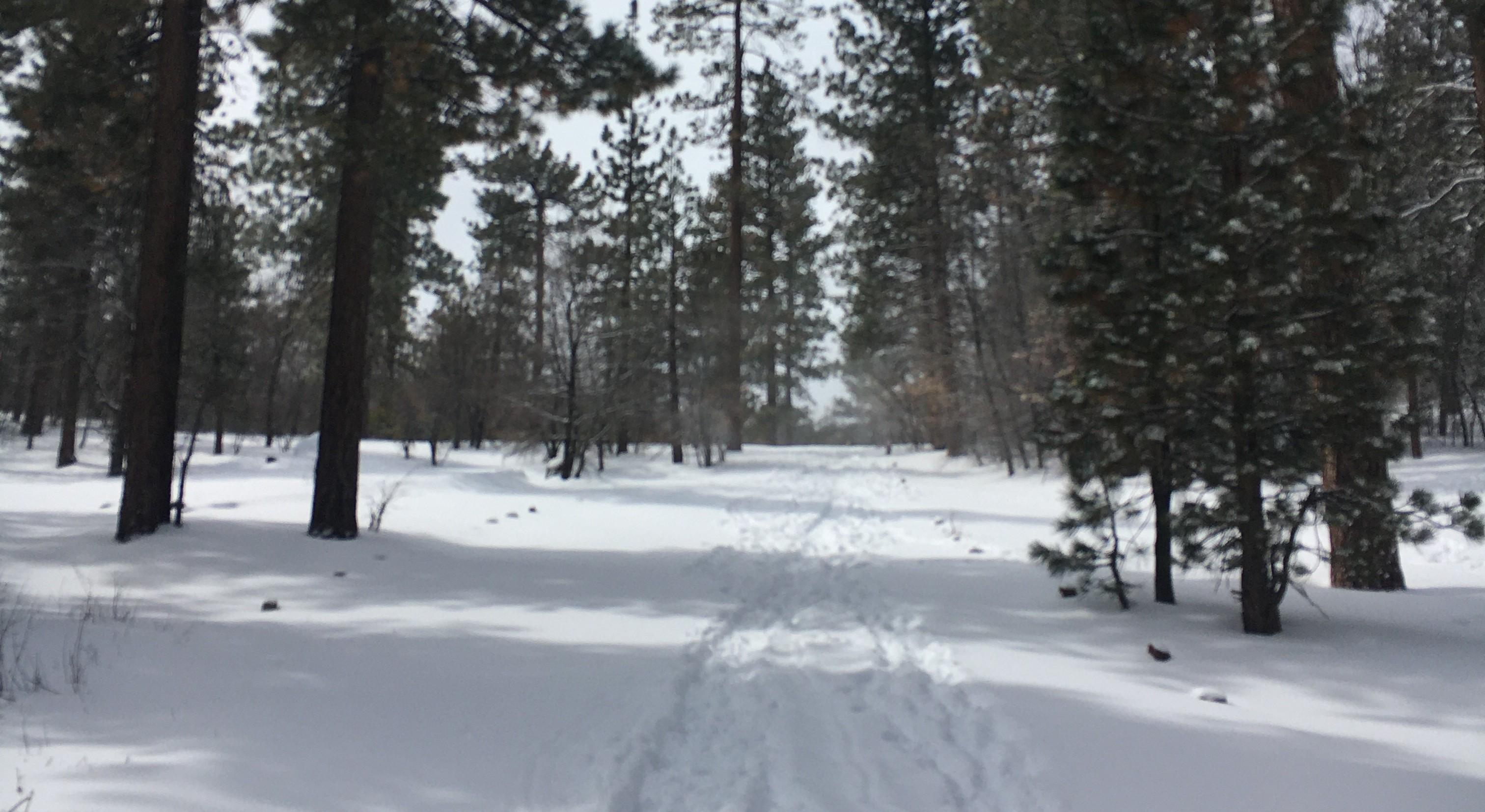 The Wedding Website of Ana Trusty and Bryce Austin