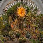 Phipps Conservatory and Botanical Gardens