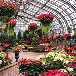 Lincoln Park Conservatory (Free with Reservations)