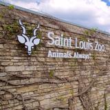 Saint Louis Zoo